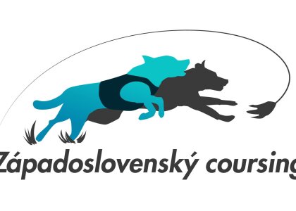 DeNVer Cup - Mistrovství SR